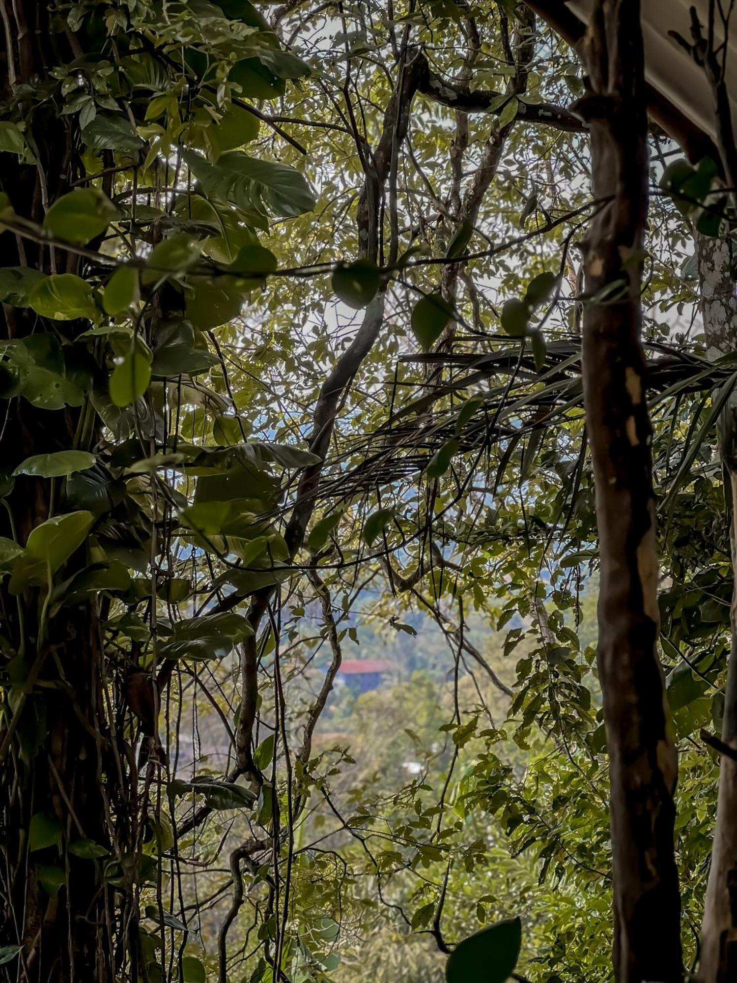 Secret Mountain Paradise Ella Exterior photo